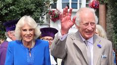 Král Karel má nový roztomilý šperk. Nejspíš ho dostal od princezny Charlotte