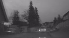 Zfetovaný řidič ujížděl policii, napálil to do stromu! VIDEO