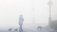 Česko dál trápí smog, pražští radní ale MHD zadarmo neschválili