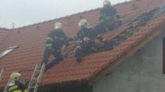 Muže z Prahy vyděsily černé fleky na střeše domu. Hasiči se nestačili divit