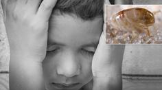 Blecha nakazila chlapce morem! Lékaři teď bojují o jeho život