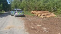 Policie dopadla zloděje dřeva. Škody dosahují téměř na milion korun