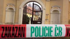 Šest zlodějů Fillových obrazů je vazbě, nekradli na zakázku