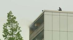 Obytným domem v Německu otřásla exploze. Policie podezřelého zadržela