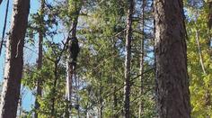 Let hrůzy: Paraglidistka skončila na stromě, muže odvezli na chirurgii