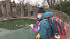 Zoologické zahrady přivítaly návštěvníky. Takhle reagovala zvířata