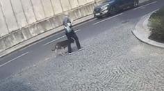 Agresivního psa muž neuhlídal, obvinili ho. Zvíře zmrzačilo malé dítě