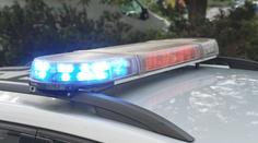 Zločin ve Frýdku-Místku nezůstal dlouho bez následků. Policejní pes zloděje vyčmuchal