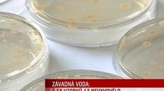 Balená voda v testech propadla, je plná bakterií