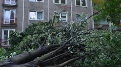 Bouřky lámaly stromy, tisícům Čechů nejde proud! PŘEDPOVĚĎ