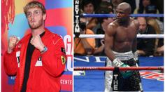 I druhý youtuber Paul se vrací do ringu! Mayweathera vyzve v červnu