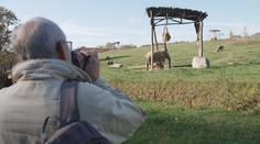 Úspěšný rok zlínské zoo: Rekordní návštěvnost a stovky nových přírůstků