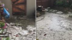 Na Vysočině hrozí velmi silné bouře, hasiči odklízí spadané stromy