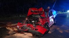 Auto srazilo divočáka a zastavilo, následovala bouračka jak z Kobry 11