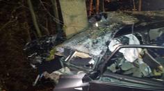 Na auto při nehodě na Vysočině spadl strom. Policisté ho hledali hodinu