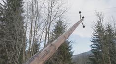 Vítkovice v Krkonoších jsou kvůli pádu stromu bez proudu. Od Vánoc už potřetí