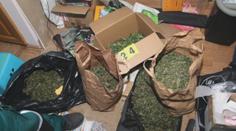 Policie našla byt plný marihuany. Byly v něm desítky rostlin a 50 gramů konopí