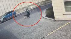 Pes napadl a pokousal dítě v Praze. Policie obviní muže, který ho venčil
