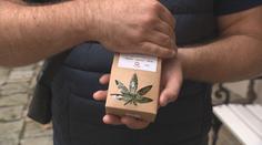 Spor o CBD ve vládě. Výborný ho chce zakázat, Fiala podpořit