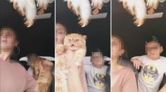 Žena si za jízdy hrála s kočkou, vezla nepřipoutaného syna. Vše vysílala