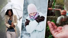 Další rána pro přírodu: Suchý rok nezachrání ani zima bez sněhu