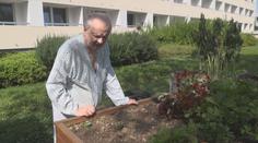 Zloději se neštítí ničeho. Seniorům v jihlavské nemocnici ukradli rajčata