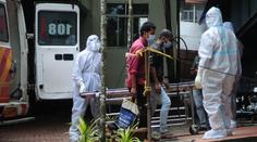 V Indii se šíří smrtící virus Nipah. Léčba neexistuje, zavírají školy