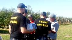 VIDEO: Razie celní správy v zemědělských podnicích