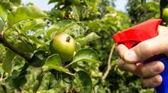 Pesticidy obsahuje polovina potravin! V těchto jich našli nejvíc