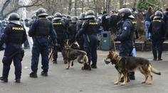 Policisté šli pro rváče, co zbili číšníka. Jenže se šeredně spletli!