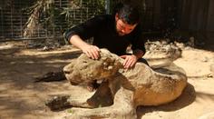 ZOO HRŮZY: Zvířata nechali zemřít hladem a žízní, jsou z nich mumie!