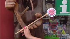 Krkonošské speciality v Peci: Zapomeňte na řízek nebo smažák