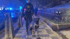Muž se měl vloupat do auta a vyhrožovat zastřelením. Našla ho policejní fena