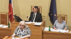 Senátorka Hamplová chce rasově segregovat děti. Pobouřila tím lidi