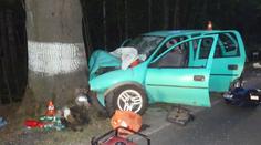 Řidička vezla čtyři děti. Vážně zranění skončili ve stromě