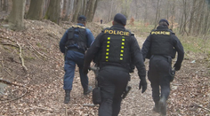 Policisté hledali ztracenou houbařku. Našli ji až díky sirénám