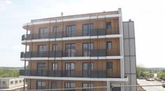 Přírodní materiál místo betonu. Do deseti let chtějí úřady více dřevostaveb