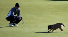 Golfista nemohl hrát. Míček mu sebral zaběhnutý pes