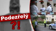BESTIÁLNÍ VRAŽDA DÍVENKY (11)! Údajně ji UBODAL její BRATR!
