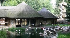 Jihlavská zoo musí mimořádně zavřít. U zvířat se objevila ptačí chřipka