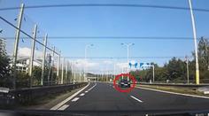 Místo 70 km/h jel 130. Na piráta silnic v BMW si došlápla policie. Nebyl sám