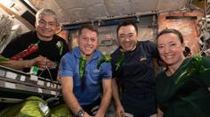 Astronautům nefunguje toaleta, k návratu na Zem si musí navléct plenky
