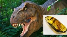 Vědci našli v jantaru dinosauří krev. Bude Jurský park realitou?