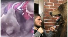 Ochránci zvířat jdou do boje s Chabibem! Vadí jim jeho velká záliba