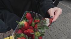 Kontrola potravin na Karlovarsku: Nedostatků bylo jen velmi málo