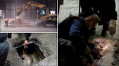 Úlovek policie: Pod vrstvou betonu našli cisterny s milionem litrů nelegálního lihu