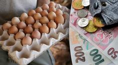 Za hranicemi jsou vejce o polovinu levnější! PODÍVEJTE SE, KDE NAKUPOVAT
