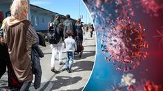 Češi se stále bojí migrantů, chtějí řešit klima. Pandemii podle nich EU zvládla