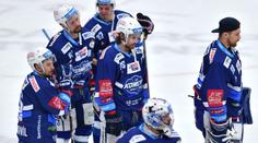 Bílí Tygři dobyli Brno! Kometa má smůlu, zlatý hattrick nebude