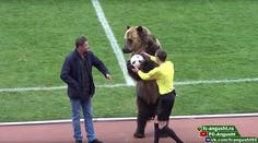 V Rusku je možné všechno! Na fotbal tam klidně dorazil medvěd
